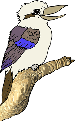Keperra Kookaburra